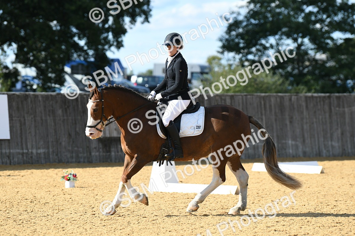 SBM_27112 - D16 - Small Tour Championship - Novice 28