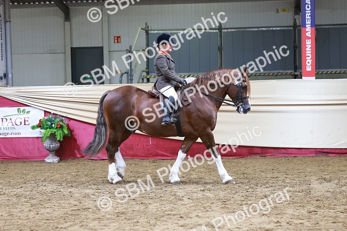 SBM_18682 - Class 952 - M&M Ridden Supreme Final