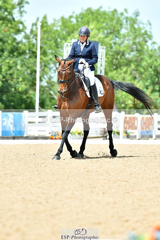 230702A-134741-10093 - Cls 31 Medium 69