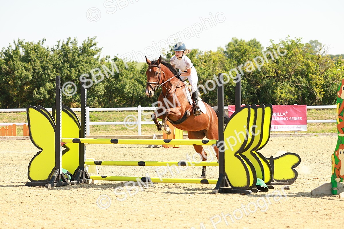 SBM_000258 - Class 2 - Senior British Novice - 90cm