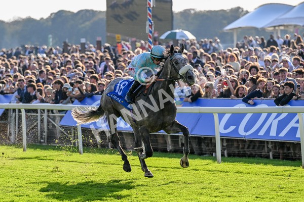 111025-Race 4-Binhareer-0467 - Race 4 Coral Sprint Trophy Handicap at York