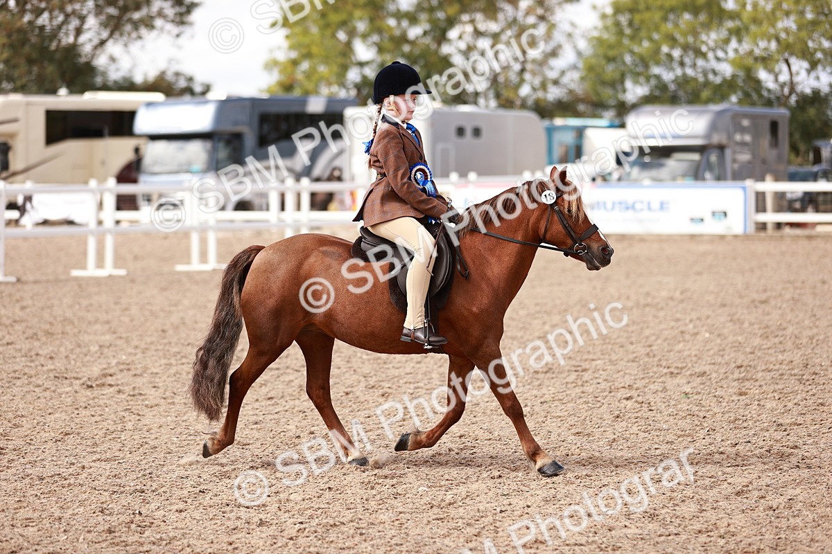 SBM_14414 - Class 409 - Grassroots Ridden - Pony