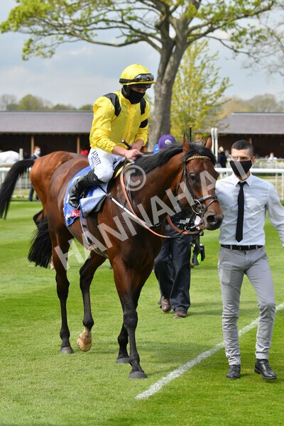 yr12052021r1-47 - Race 1 1.40pm Sky Bet Race to the Ebor Jorvik Stakes