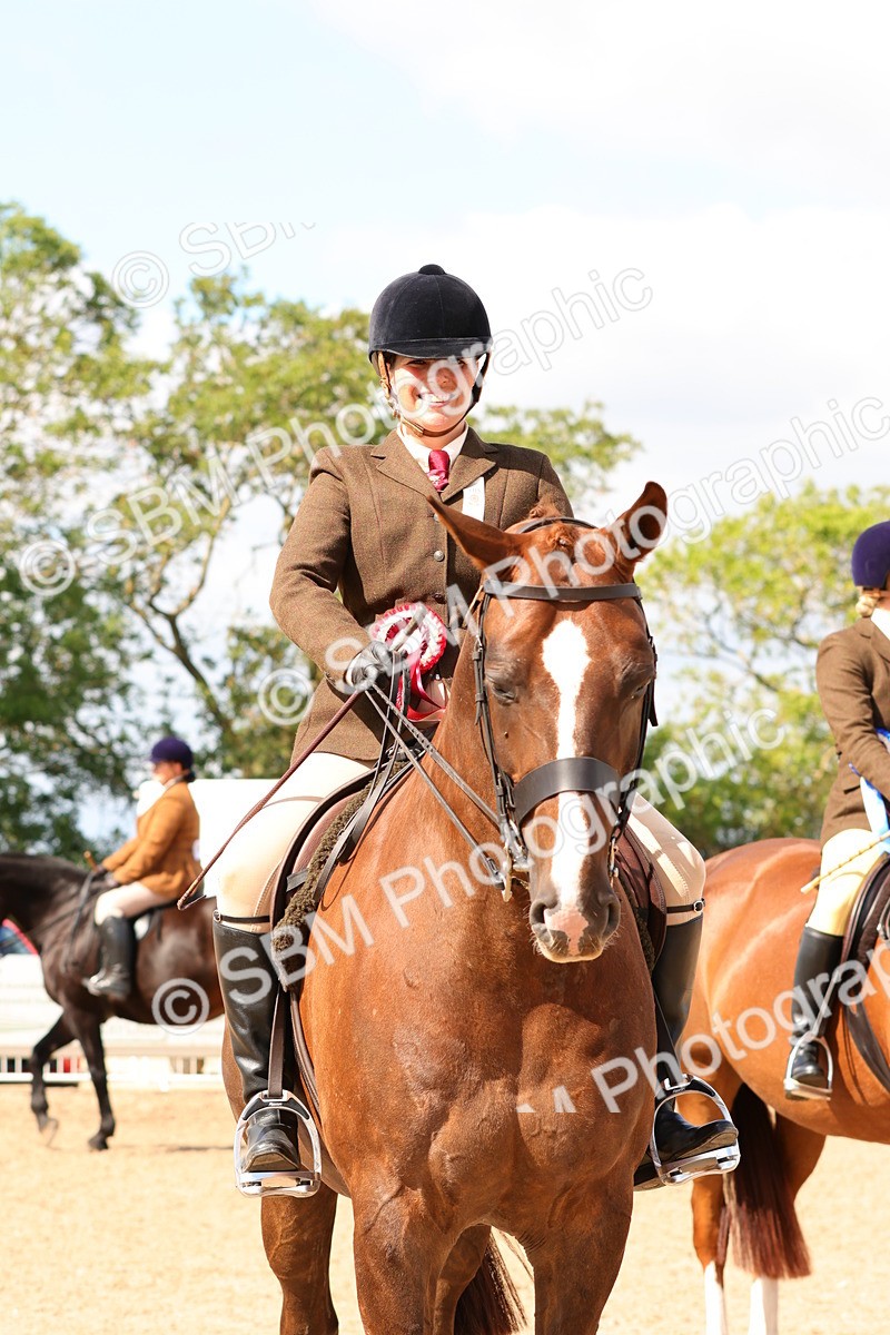 SBM_13567 - Class 212 - Ridden Hunter  - Large