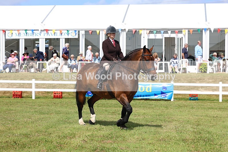 3E7A9866 - Class 5: Rising Star Lightweight/Heavyweight Cobs