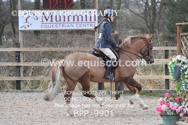 BPP_9901 - 60CM