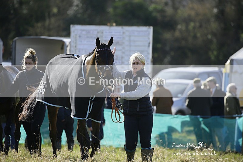 PtP 260222 284 - Kingston Blount Racing Club Point-to-Point 26/02/22