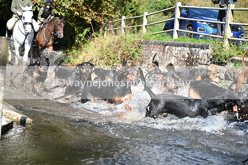 WJ7_5974 - Hounds Water Crossing