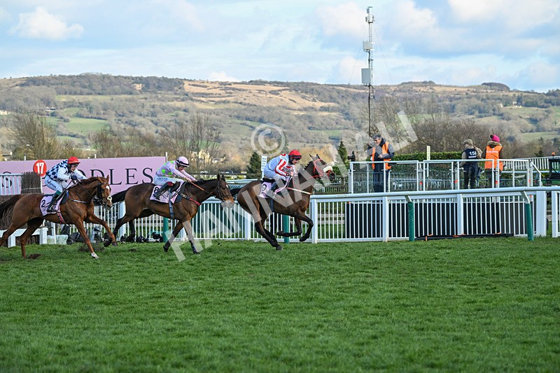 140325-The Real Whacker-WR-5646 - 14th March