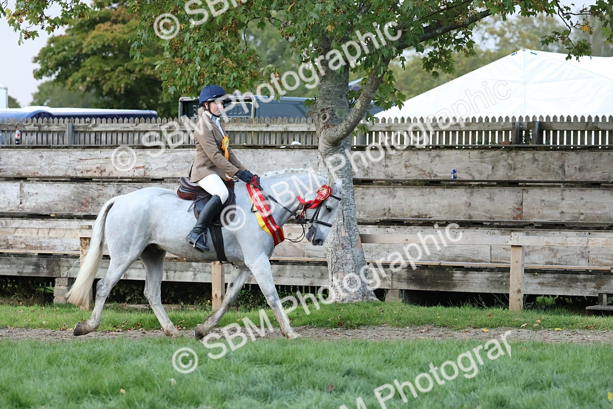 SBM_53416 - Super Supreme Championship (Sat)