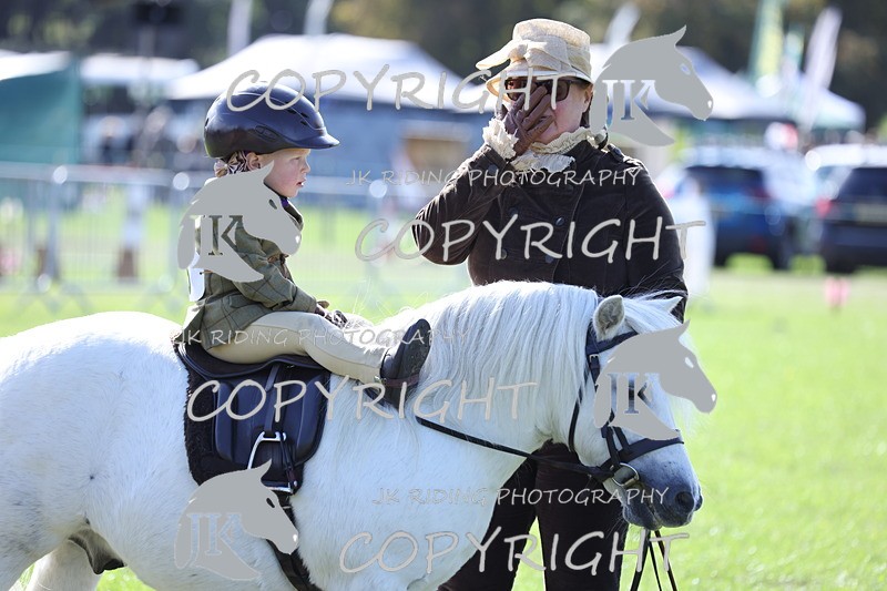 APP_3897 - Class 13 Lead rein