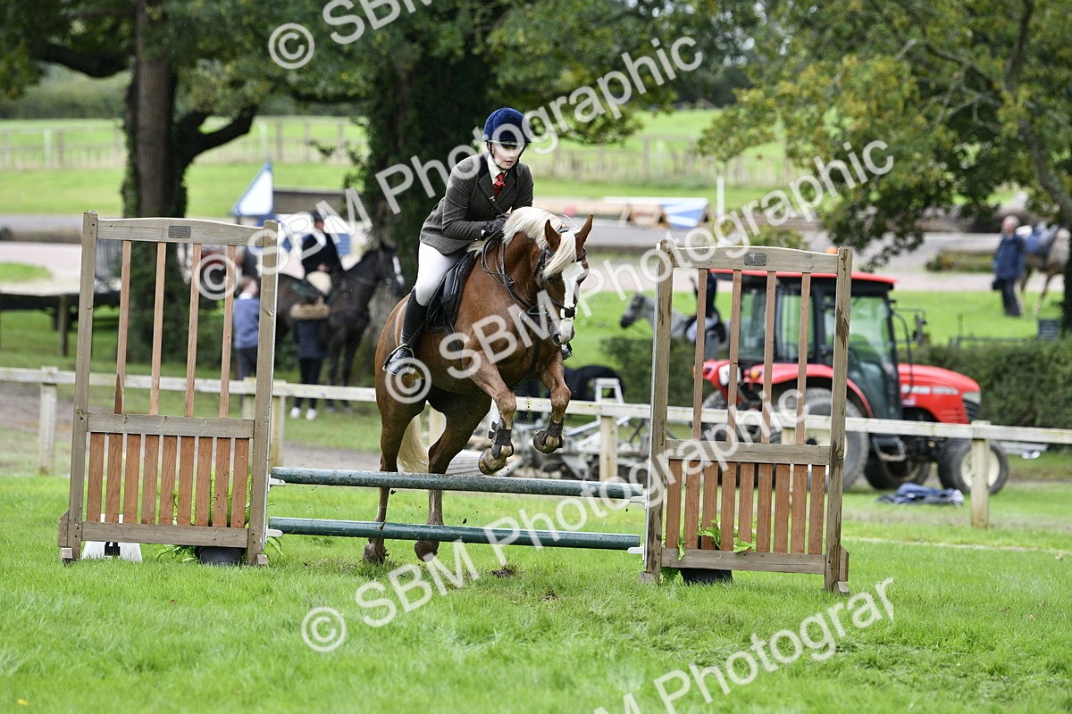 SBM_41369 - S32 - Mountain & Moorland Working Hunter Pony
