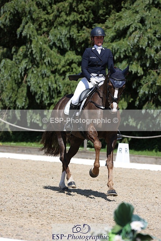 230526-145801-06594 - 376-DIRECT_BALLYTARSNA_DUCAREL-Jodie_Amos-WEDTrotUp+DR