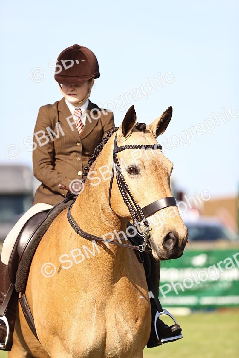 SBM_10701 - Class 73-74 - LIHS BSHA Open Style & Performance