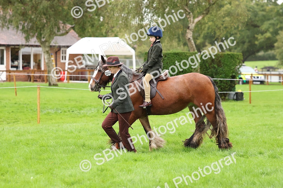 SBM_33362 - S8 - Best Turned Out