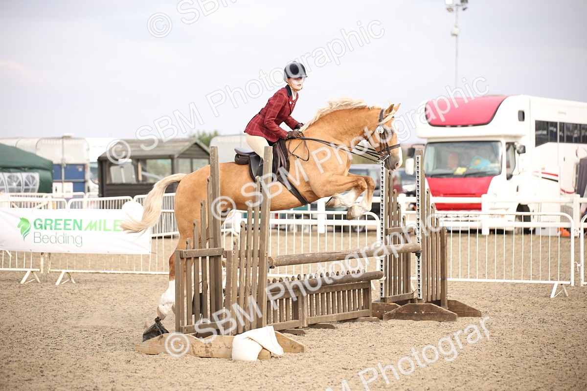 SBM_17254 - Class 410a - Wor5king Veteran 90cm (15-19)