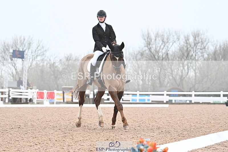 240217A-095236-00469 - 123-Daisy.Hedges-Felicia.v