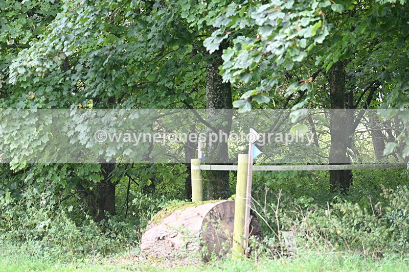 WJ7_7998 - Time 14:04 to 14:10