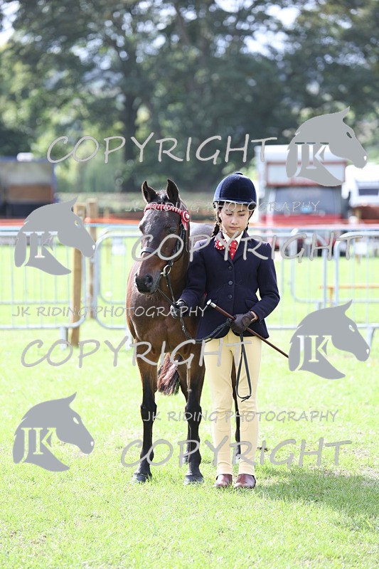 APP_2609 - Class 9 Veterans in hand