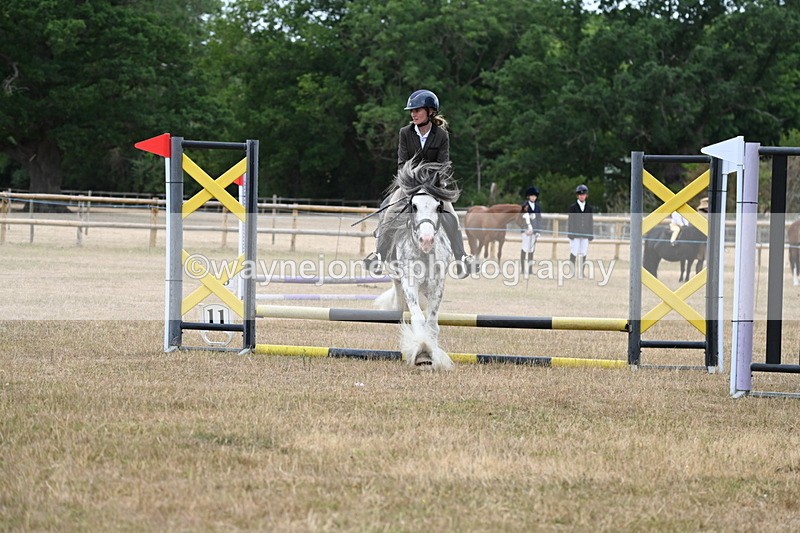 WJ6_9655 - Class 12 Minimus Jumping 45cm