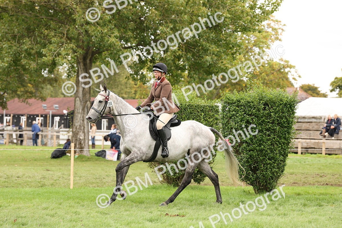 SBM_64245 - S65 - Riding Horse & Hack & Thoroughbred Ridden