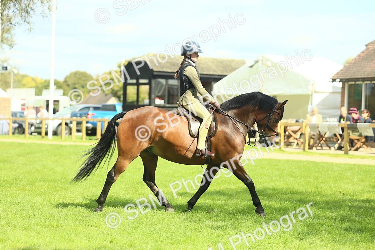 SBM_42980 - S30 - M&M Working hunter Pony