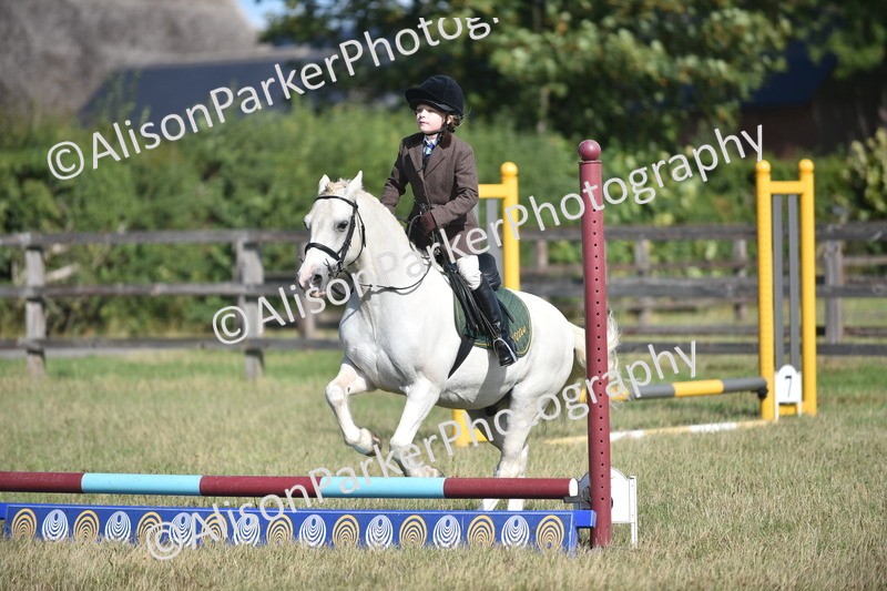 20260906-0956 - Class 7 - Absolute Novice Jumping 35cm