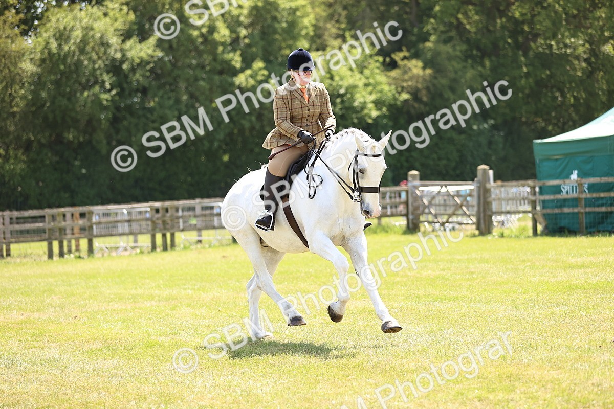 SBM_16152 - Class 79-80 - LIHS BSHA Rising Star Ridden Hunter