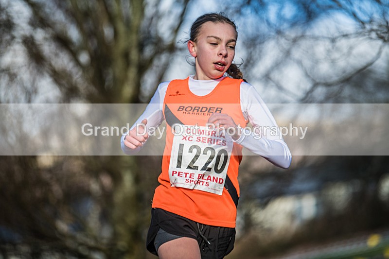 Cumbria XC-264 - Cumbria Cross Country Championships (Junior & Senior Races) Saturday 3rd January 2026
