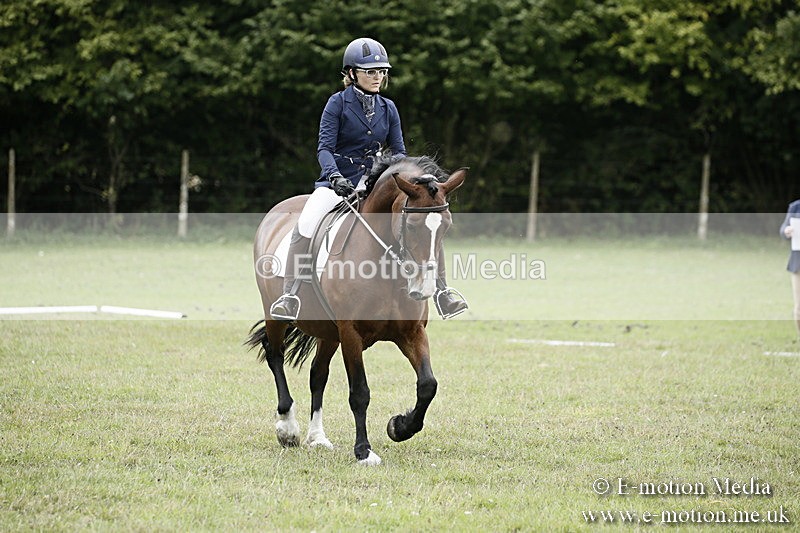 BVR080918 245 - BVRC Novice Dressage & CR 08/09/18