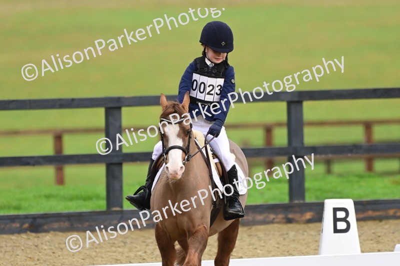 20260125-0668 - Class 9b - Walk Trot Unassisted