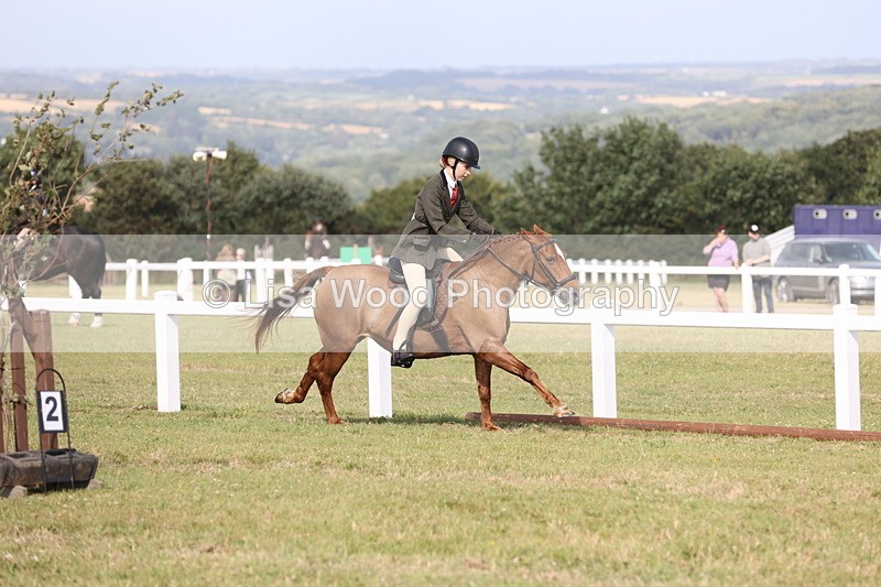 JPP_2930 - Class 20: Working Hunter 70cm