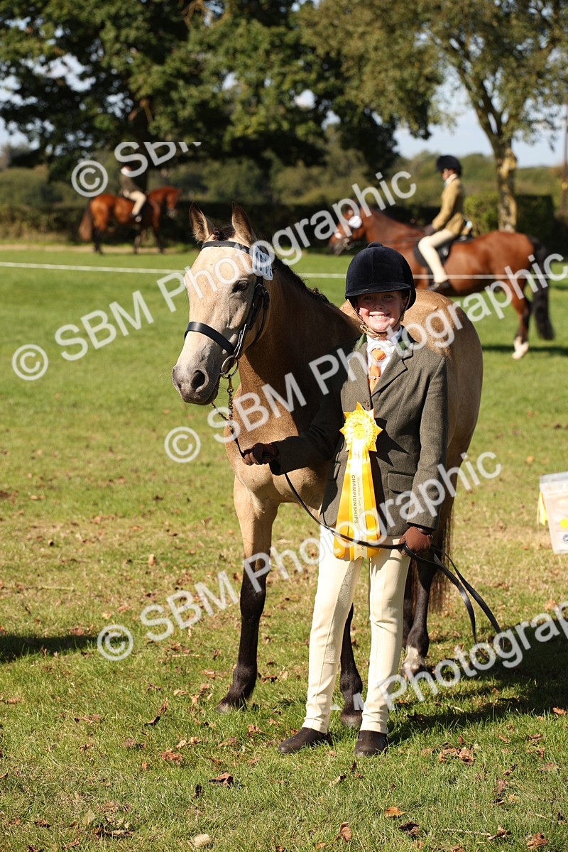 SBM_36691 - S10 - Best In Hand Horse & Pony