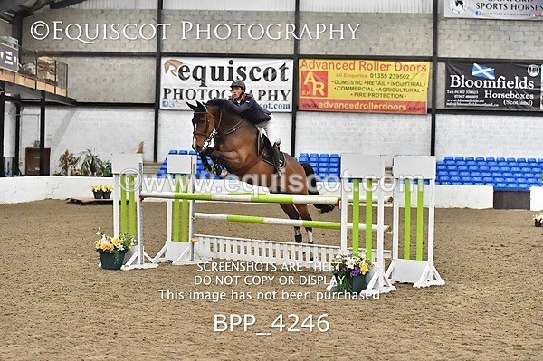 BPP_4246 - FRI CLASS 24 FOX/1.20M OPEN