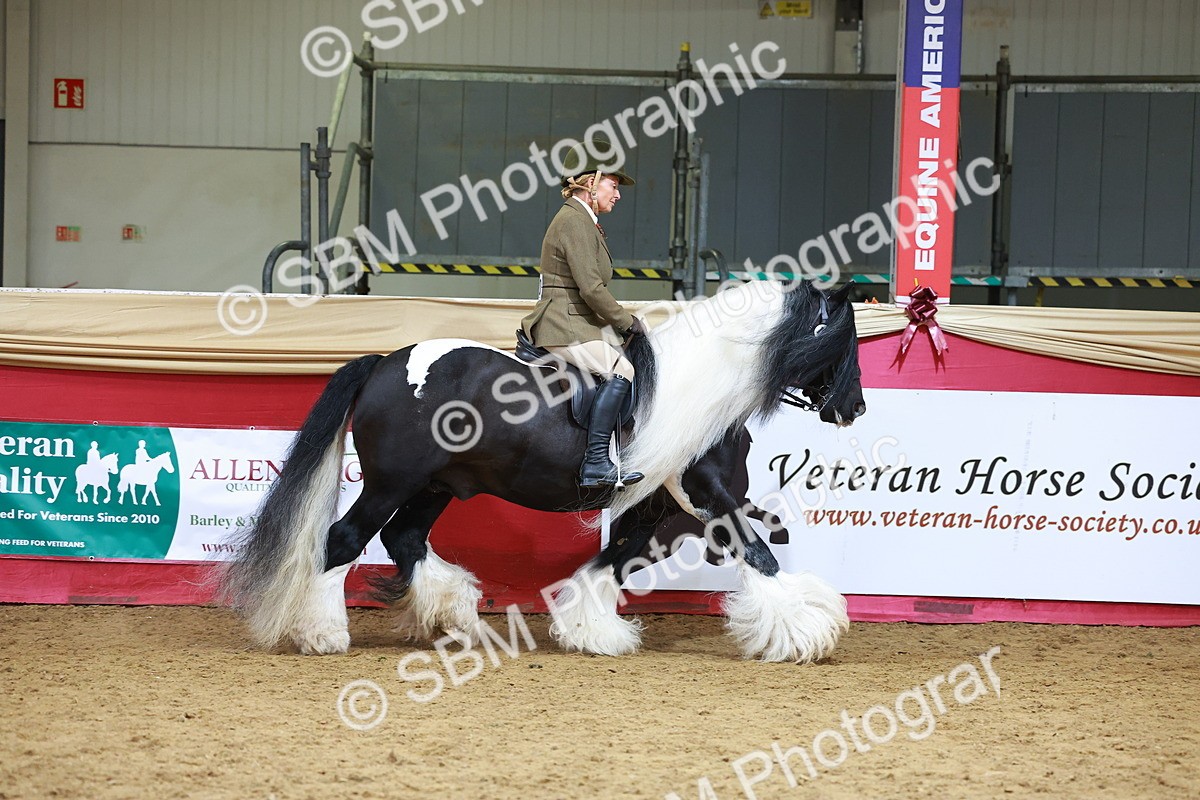 SBM_06161 - Class 12R - Ridden Pre-Vet