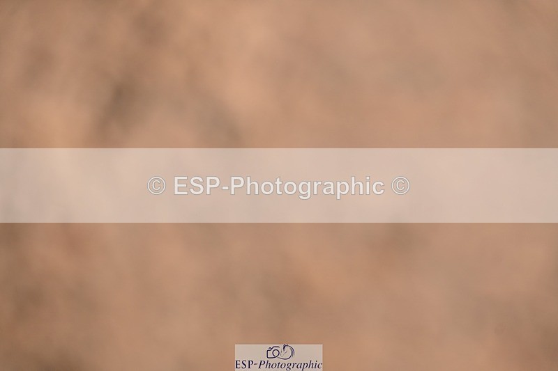 250912-140842-04764 - Cls 19 Area Trial