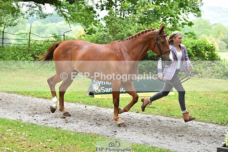 240522-171944-01533 - 269-EMERALD_KATIE-Isabelle_Cook