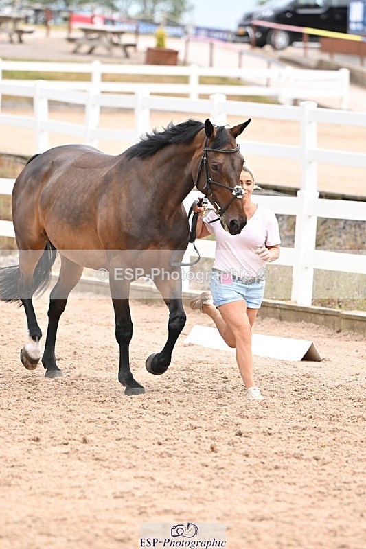 250716-143939-01276 - Trot Up 2.30 to 3.30