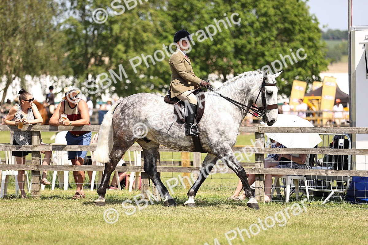 SBM_16082 - Class 79-80 - LIHS BSHA Rising Star Ridden Hunter