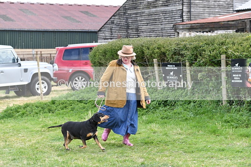 WJ5_0040 - Class 5 Best Veteran / 7 years & over