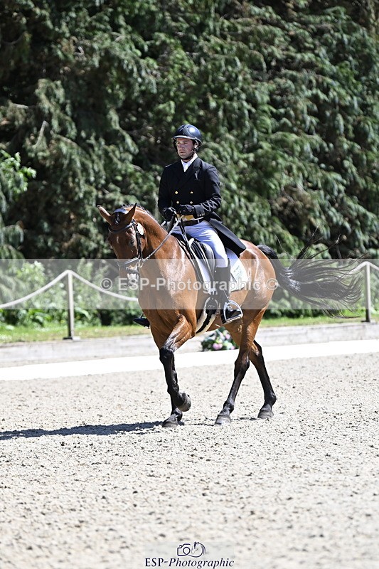 250522A-151119-03816 - D-414-Rupert.Batting-COOMBELAND.SEMILLY