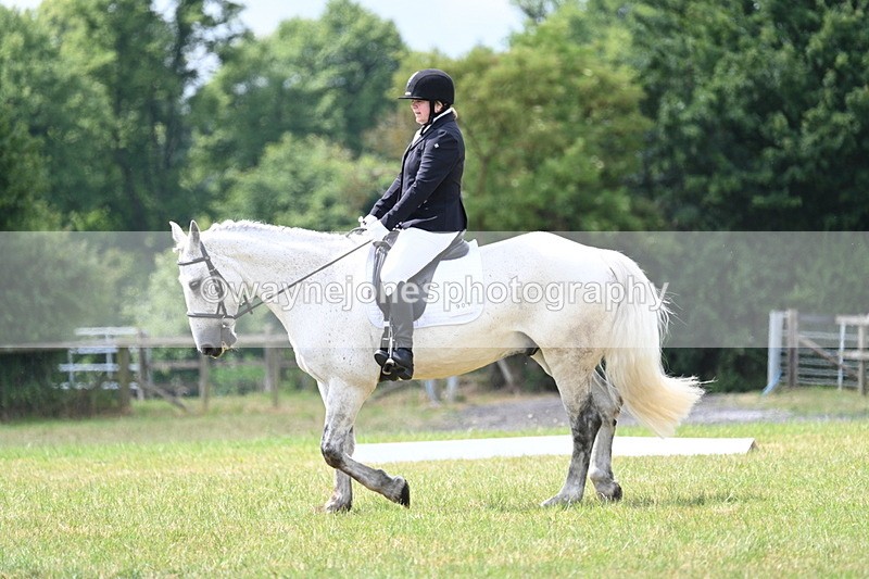 WJ7_4900 - Time 11:22 to 11:51