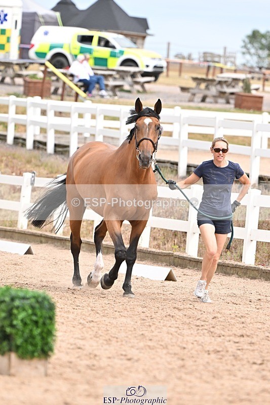 250716-153940-02093 - Trot Up 3.30 to 4.30