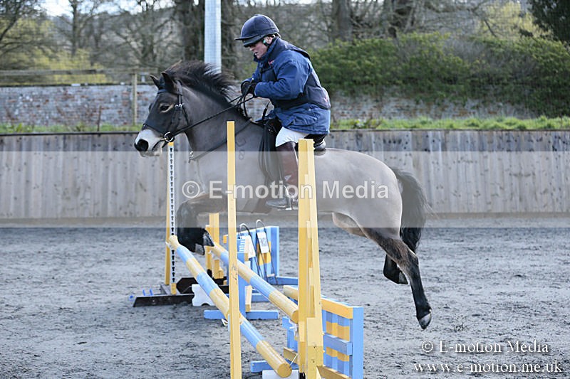 BVRC SJ 170319 7 - Bourne Valley Riding Club Showjumping 17/03/19