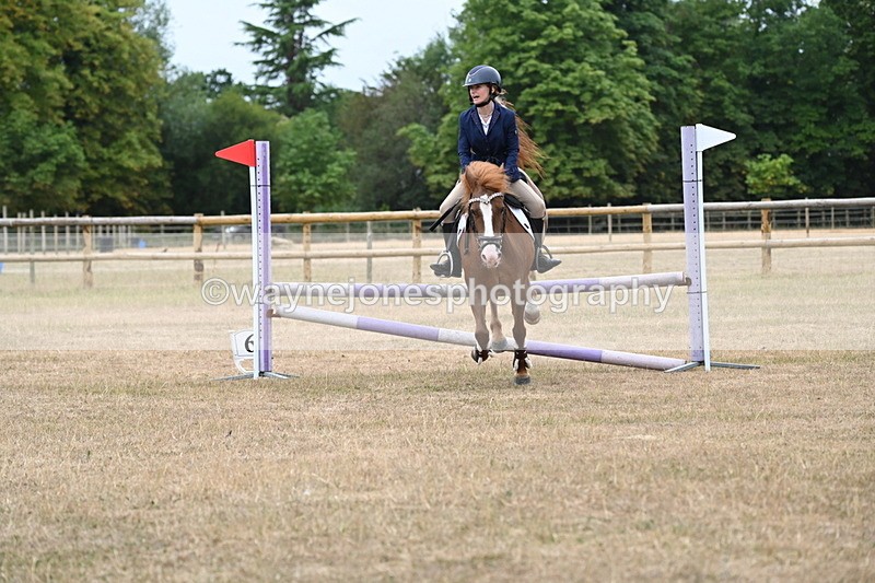 WJ6_0619 - Class 14 Intermediate Jumping 75cm