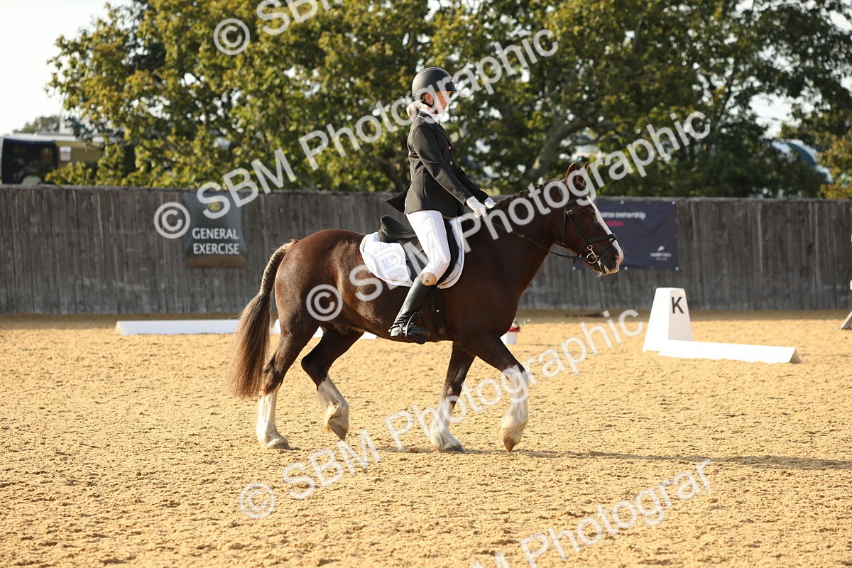 SBM_53123 - D23 - Junior Championship - Prelim 12