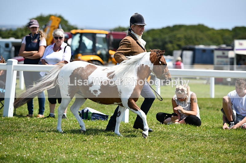 DSC_7597 - Class 64: Coloured Pony 4yrs & over