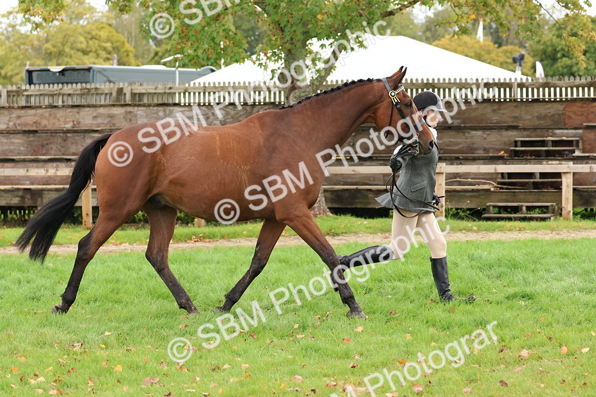 SBM_40772 - S25 -  Veteran In Hand
