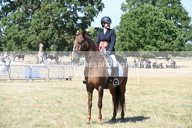 WJ6_9052 - Class 38 Ridden Riding Horse/Pony
