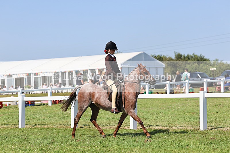 IMG_1991 - Class 34: Show Hunter Pony 153cm and under